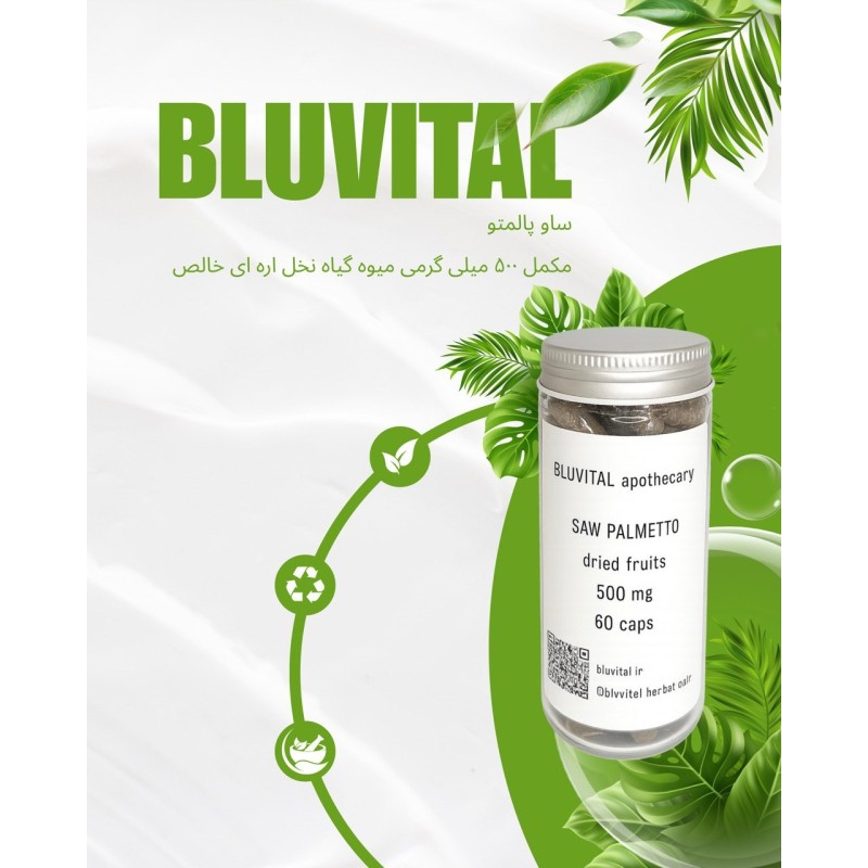 کپسول نخل اره‌ای (Saw Palmetto) برای پروستات و ریزش مو | بلوویتال