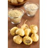 ماکا سفید MACA ROOT(جینسنگ پرویی)