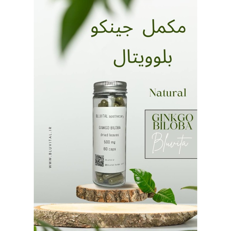 جینکو GINKGO BILOBA (۵۰۰ میلی گرم)