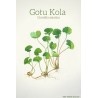 گوتوکولا GOTU KOLA (۵۰۰ میلی گرم)