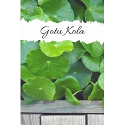 گوتوکولا GOTU KOLA (۵۰۰ میلی گرم)