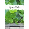 گوتوکولا GOTU KOLA (۵۰۰ میلی گرم)