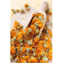 خرید روغن کالاندولا پایه زیتون ۱۵ میلی‌لیتر | BluVital