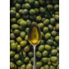 خرید روغن کامفری پایه زیتون | تسکین درد عضلانی | BluVital