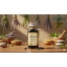 کپسول نخل اره‌ای (Saw Palmetto) برای پروستات و ریزش مو | بلوویتال