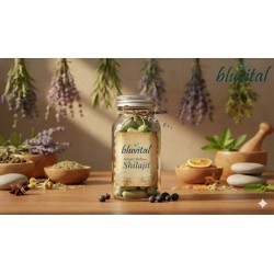 شیلاجیت (۸۰۰میلی گرمی)  SHILAJEET