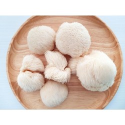قارچ یال شیر LION'S MANE(۴۰۰ میلی گرم)