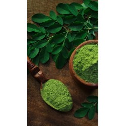 پودر مورینگا (مخصوص ماسک)
